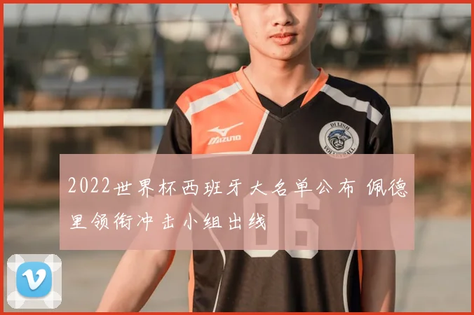 2022世界杯西班牙大名单公布 佩德里领衔冲击小组出线